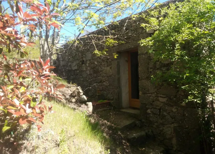 Holiday home Les Du Mazel *